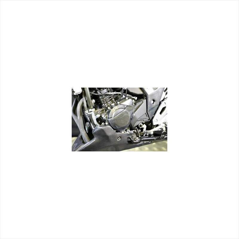 バイクパーツ 外装エーテック ジェネレーターカバー クリアー塗装 CDCS25115-L-C 4524446144693GSX250R 17-｜バイク・バイク用品はとやグループ