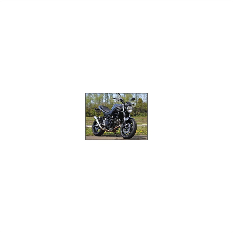 バイクパーツ ハンドル シックデザイン ガイラガントレット クリア GG49B 4549950539605 SV650 16-