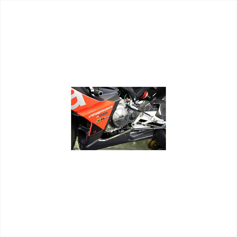 バイクパーツ 外装 エーテック ジェネレーターカバー クリアー塗装 DC AP6745-L 4524446151714 aprilia RS660 21-