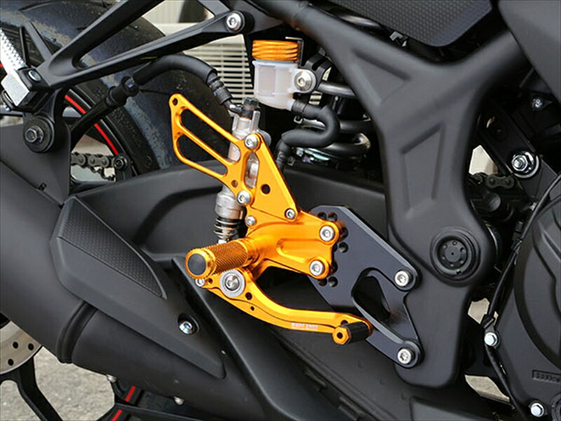 ステップ ベビーフェイス ベビーフェイス レースコンセプトステップキット Ver15.2 GLD YZF-R25 15-16 R02-Y004GD 4589981522313 取寄品｜バイク・バイク用品はとやグループ