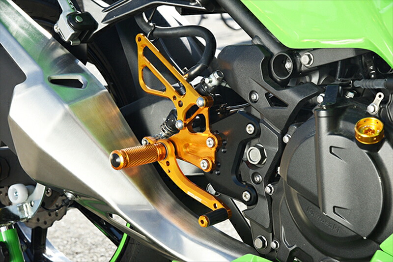ステップ ベビーフェイス ベビーフェイス レースコンセプト ステップキット GLD NINJA250 400 18- R02-K008GD 4589981523297 取寄品