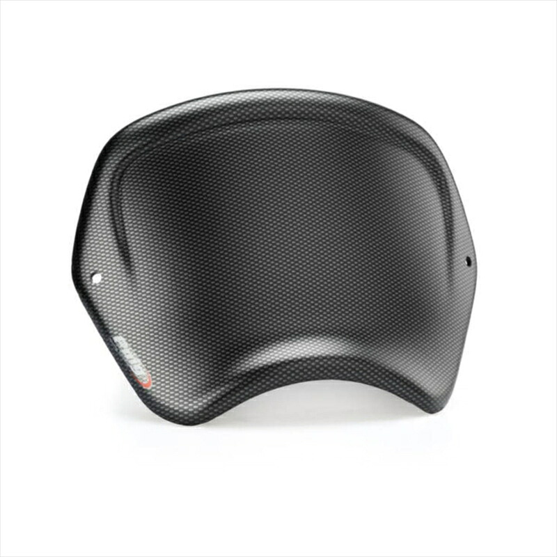 バイクパーツ 外装プーチ フロントパネル ABS樹脂 カーボンプリント3590C 4571414850100トップブリッジマウント汎用タイプ｜バイク・バイク用品はとやグループ