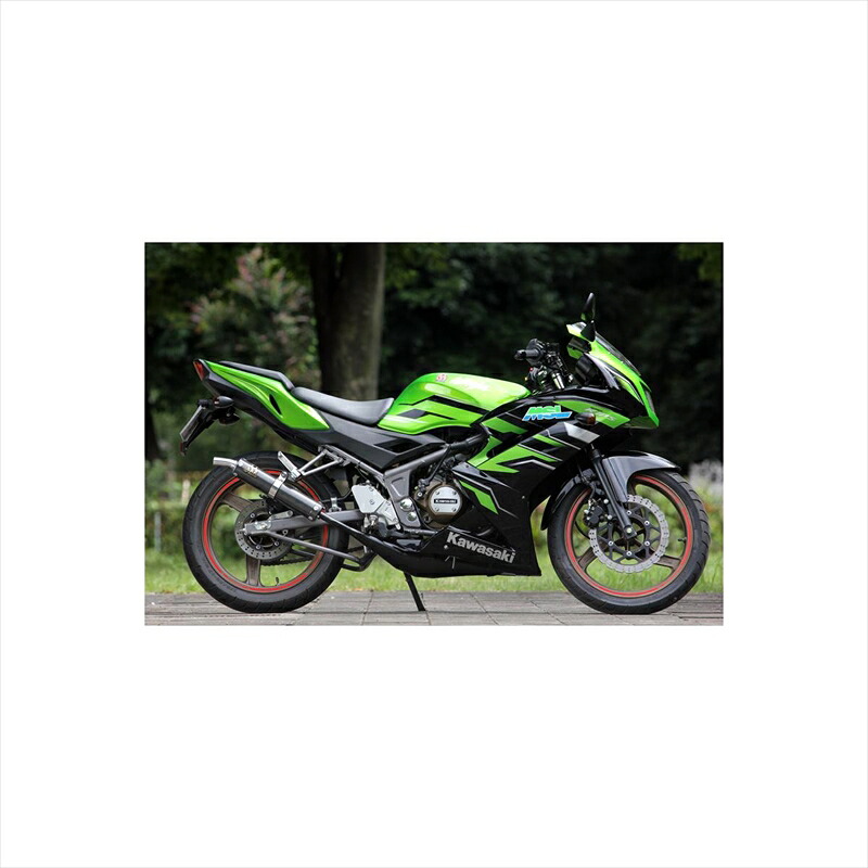 バイクパーツ マフラー スペシャルパーツタダオ ジャッカルチャンバー NI1-CS-01 4571117958455 Ninja150RR KR15