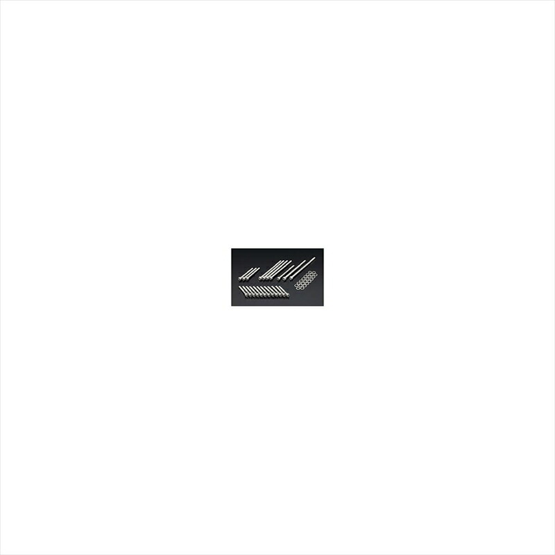 バイクパーツ PMC(ピーエムシー) SUS クランクケース キャップボルトセット 81-2017 4589641291757 Z/KZ
