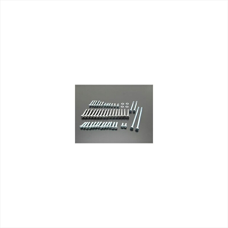 バイクパーツ DOREMI COLLECTION ドレミコレクション エンジンカバーボルト Z1/Z2 10182 4573268851821 8,199円