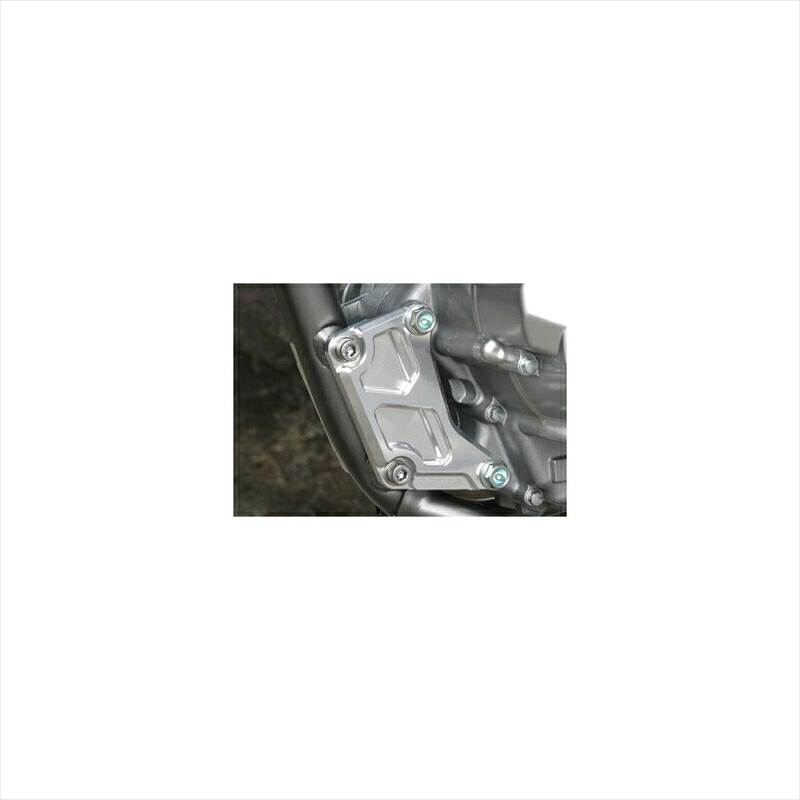 バイクパーツ 外装 アグラス エンジンハンガー RLセット 356-481-000 4548664130542 D-TRACKER125 12,893円