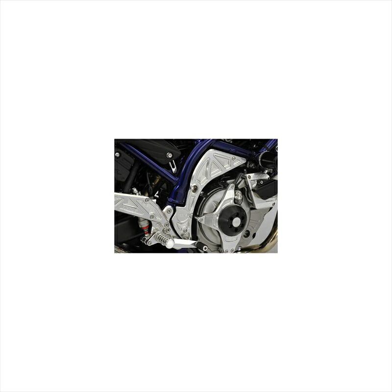 バイクパーツ 外装 アグラス フレームパネル 612-396-000 4548664254712 GLADIUS400