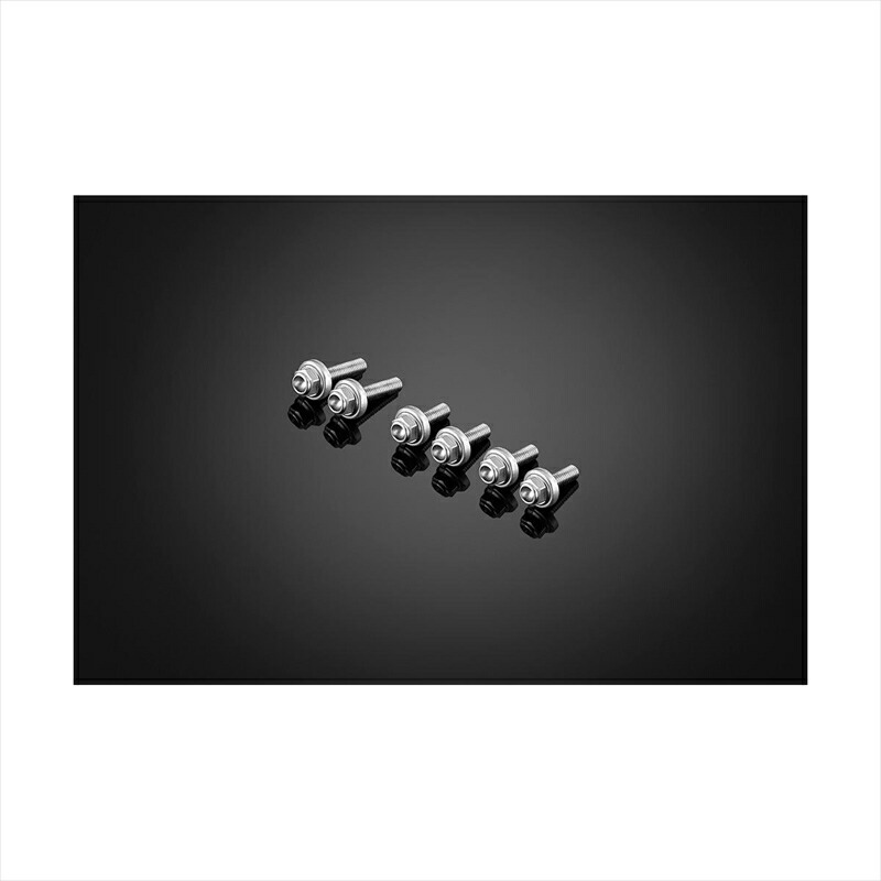 バイクパーツ BIKERS(バイカーズ) スクリーン用 ステンレスボルト シルバー C0418-SLV 4550255577056 ZX-25R 20-24 ZX-4R 23-24