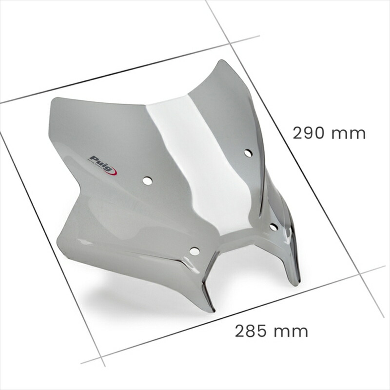 バイクパーツ 外装プーチ NEW ジェネレーション SPORT ブラック MT-09/SP 24-22077N 4571414858441|バイク・バイク用品はとやグループ