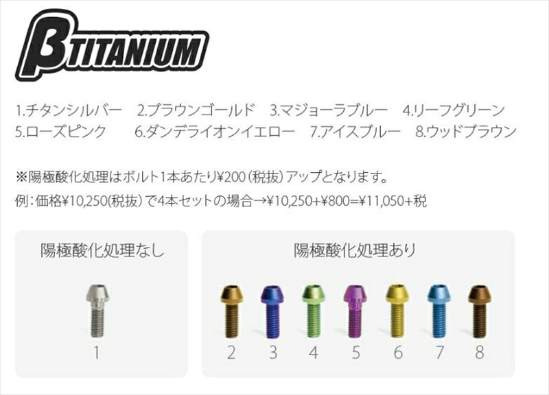 バイクパーツ メンテナンスベータチタニウム フロントキャリパーマウントボルトKIT HAYABUSA 21- 4本 BG ブラウンゴールド BT-FCS4-4-BG 4589678433380｜バイク・バイク用品はとやグルー�
2000
�