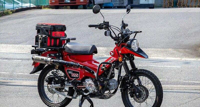バイクパーツ OVER RACING(オーバーレーシング) GP-PERFORMANCE アップマフラー 16-06-15 4539770129438