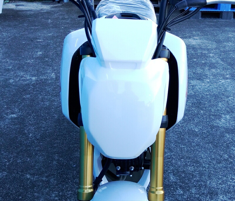 バイクパーツ 外装 BATTLE FACTORY(バトルファクトリー) フロントゼッケンプレート FRP-GROM-2401 4550646314543