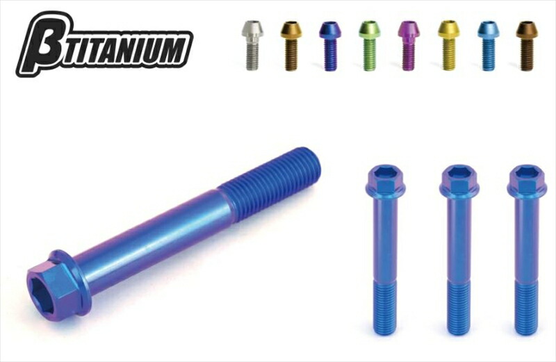 バイクパーツ メンテナンス βTITANIUM(ベータチタニウム) Fキャリパーマウントボルトキット BT-FCS3-4 4573374156278
