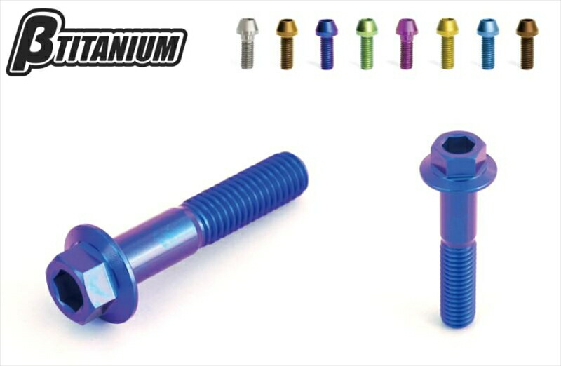 バイクパーツ メンテナンス βTITANIUM(ベータチタニウム) Rキャリパーマウントボルトキット BT-RCK4-2 4573374156407