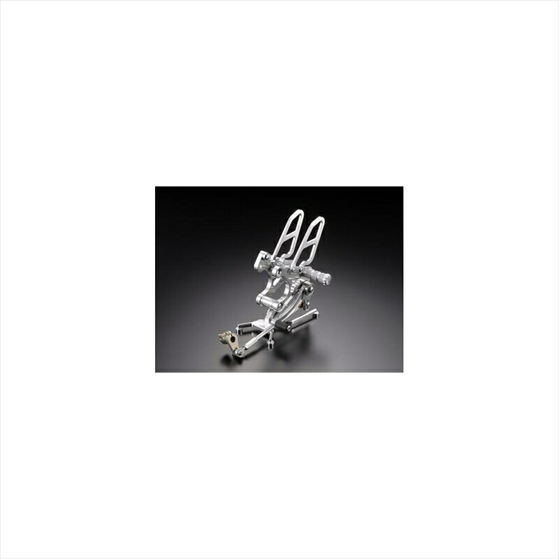 バイクパーツ ステップ ツルノテクニカルサービス レーシングステップキット 07011163 4548664488728 NSF100 ステップバー83mm