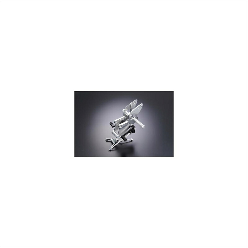 バイクパーツ ステップツルノテクニカルサービス レーシングステップキットTypeR Gタイプ070112AR-1G 454866465424650-70 CBR250R 11-|バイク・バイク用品はとやグループ