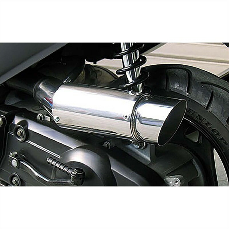 バイクパーツ ウイルズウィン サイレンサー型エアクリーナー/ポッパー 354-01-02 4547424651174 アドレスV125