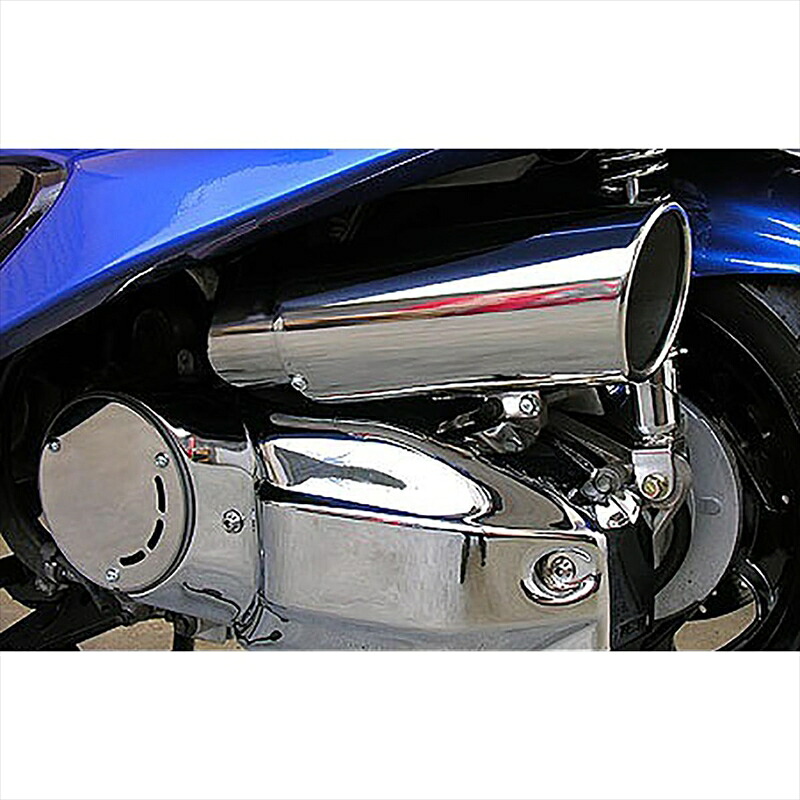 バイクパーツ ウイルズウィン キャリパータイプAC＆Pカバー 114-03-11 4547424668257 MAJESTY250(5GM/SJ)