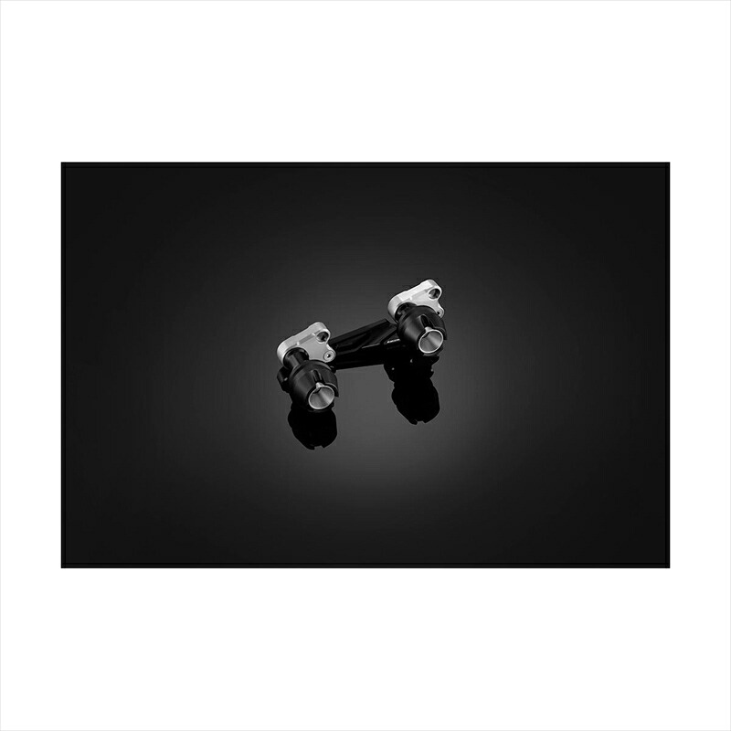 バイクパーツBIKERS(バイカーズ) エキゾーストプロテクター シルバー Y0146-SLV4548916464432TRICITY125 14-16｜バイク・バイク用品はとやグループ 19,329円