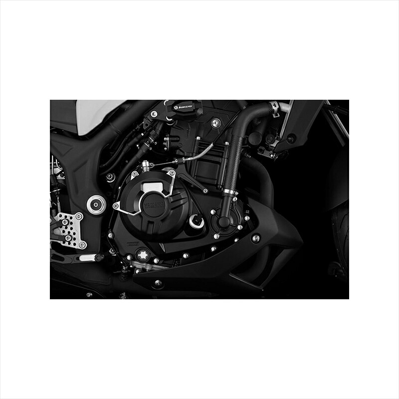 バイクパーツ BIKERS(バイカーズ) エンジンガード 右側 シルバー Y0183-SLV 4548916535439 YZF-R25 15-18 MT-25 16-24