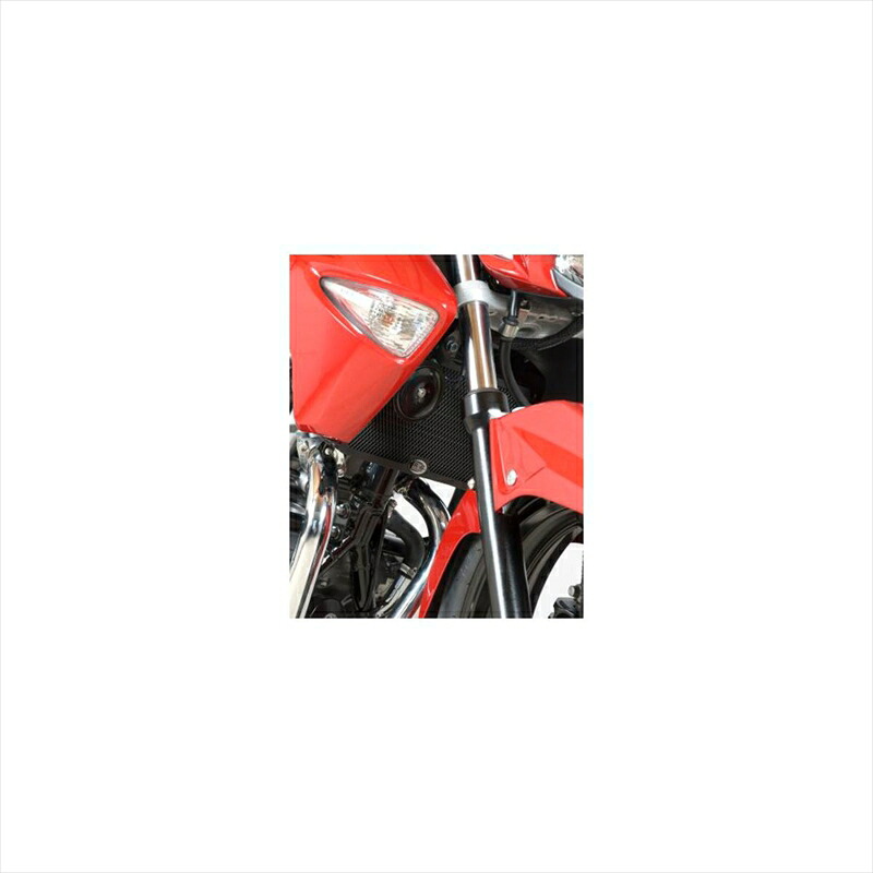 バイクパーツ 冷却系 アールアンドジー ラジエターガード ブラック RG-RAD0143BK 4571381484568 GSR250 13-17/INAZUMA250 13-17