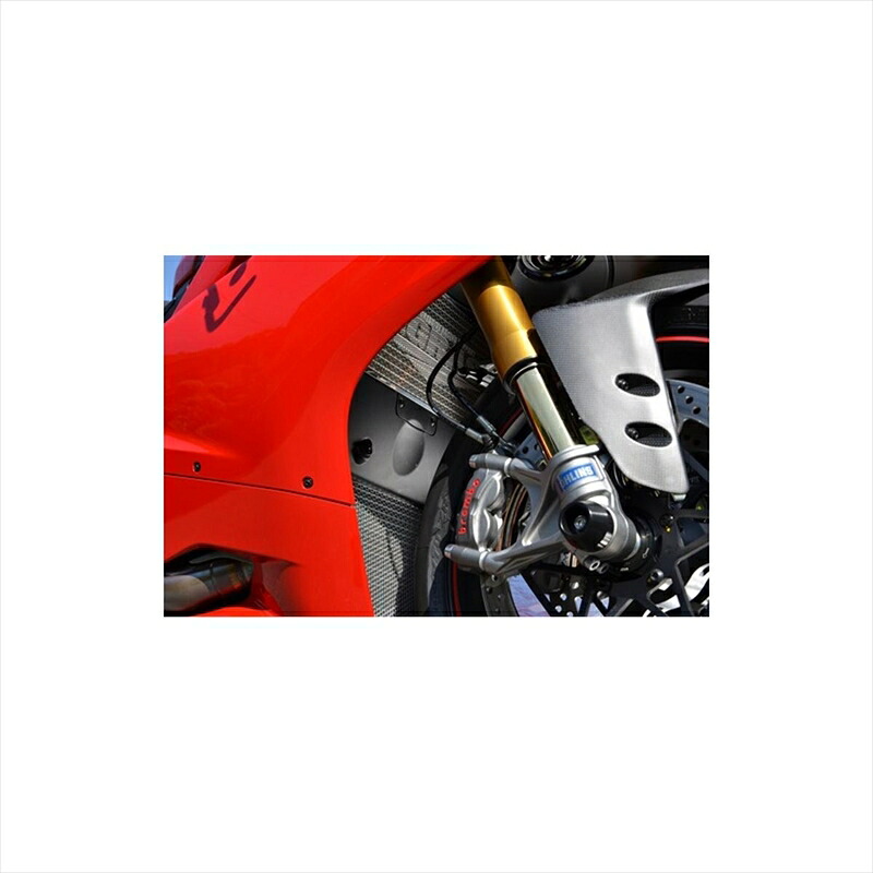 バイクパーツ 冷却系アグラス ラジエターコアガード Aタイプ ロゴ有309-559-A00 45489161882391199 Panigale|バイク・バイク用品はとやグループ