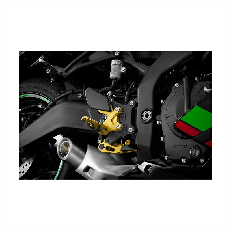 バイク用品 ステップバイカーズ BIKERS バックステップ ライトゴールド 