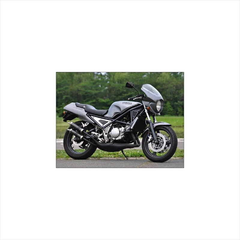 バイクパーツ 外装 シックデザイン ロードコメット2 ビビッドRD/スモーク RCB18-VRD1/2 4548916419555 R1-Z