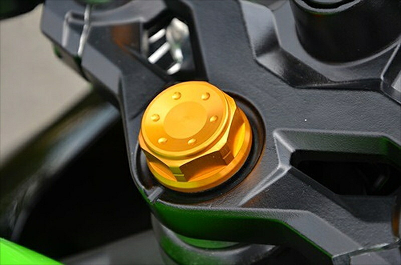 バイクパーツ AGRAS(アグラス) トップブリッジセンターナット GLD 446-025-100G 4548916461608