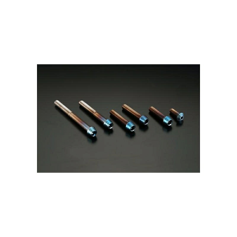 バイクパーツ メンテナンス ケイファクトリー ステンレスエンジンボルトキット ヒート 304EZAB003P 4582215491218