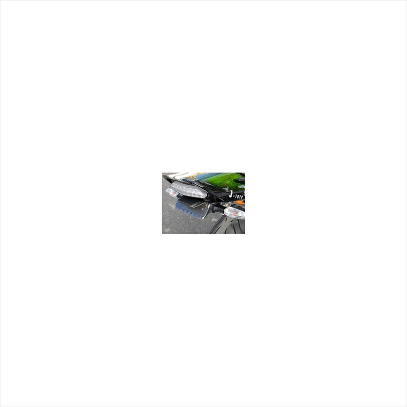 バイクパーツ 外装 マジカルレーシング フェンダーレスキット/綾織りカーボン 001-ZRX129-910A 4548916575909 ZRX1200DAEG 09-