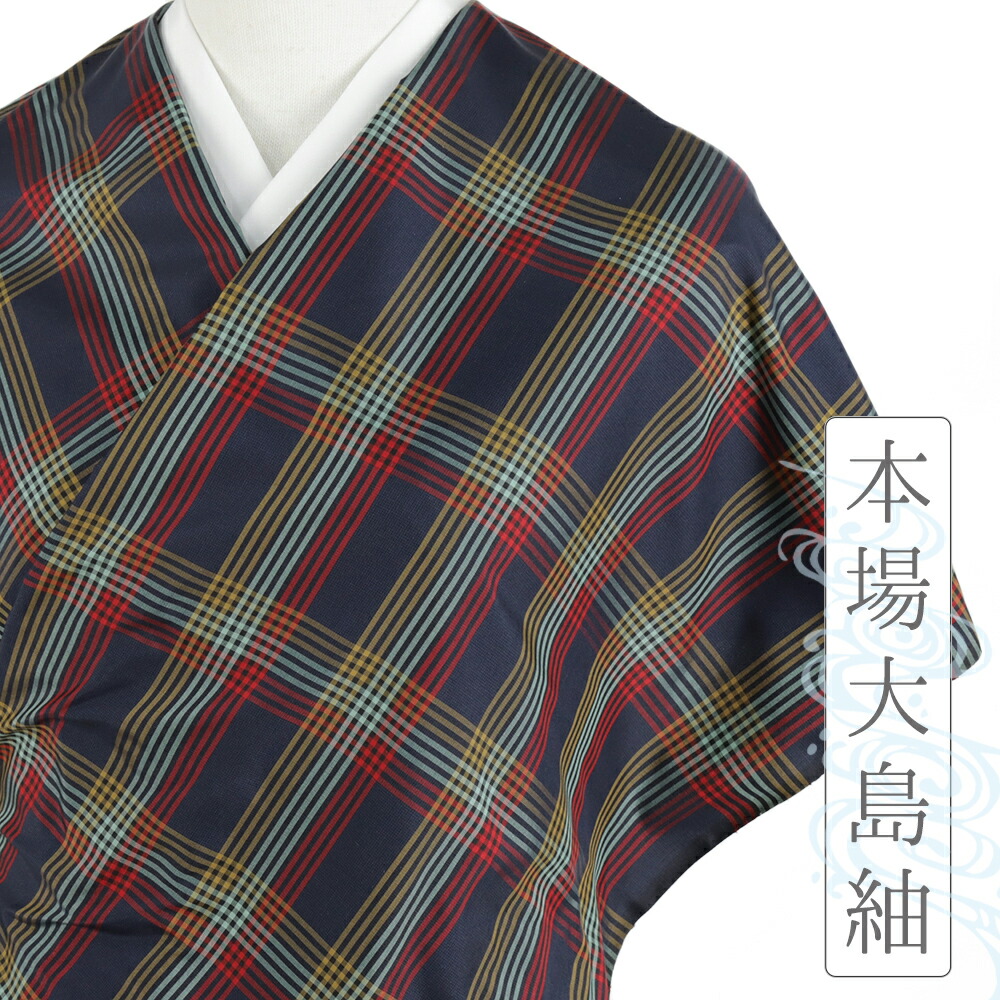 夏本場大島紬 縞大島 薄物 正絹 反物 TN hondaya_8-1-35