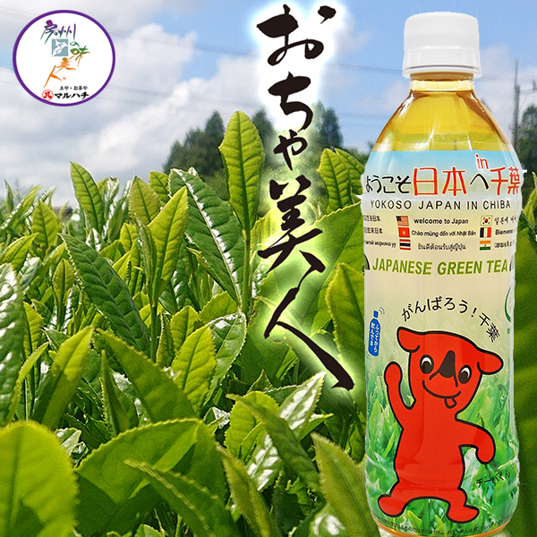 楽天市場】【千葉県産】お茶 ペットボトル 500ml 24本 『おちゃ美人