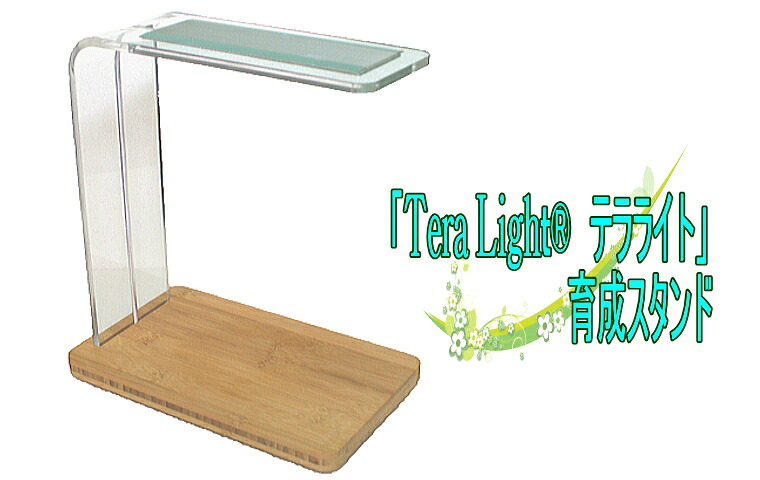テラリウム用ともし火 Tera  Light・・（テラともし火） 草木育みそだてるLED照明ランプ 調光役立つこと付き添い人 木製台照明ランプともし火