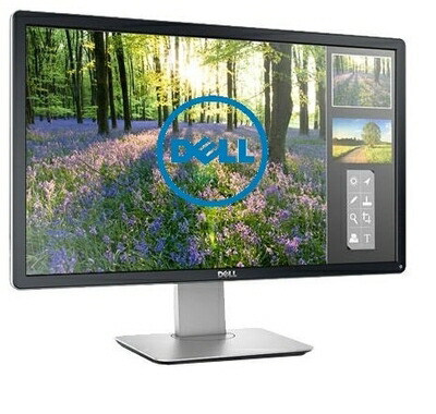 【中古】 DELL デル 23.8in 広広とした 職業的つづき物 ノングレア(非光輝) 中古 管する 見せびらかす 液晶 1920×1080 盛りだくさん固定ディスク USBこしき 黒いこと (ミニD-Sub15いの一番×1/DVI-D×1/DisplayPort×1) P2414Hb