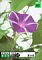 【中古】 Photobit 17 夏の花