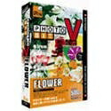 【中古】 Photobit V Flower