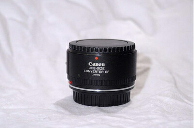 【中古】 Canon ライフサイズコンバーターEF