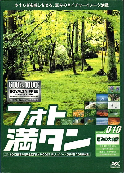 【中古】 写真絵満タン 010 温情の大気どらずに