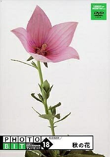 【中古】 Photobit 18 秋の花
