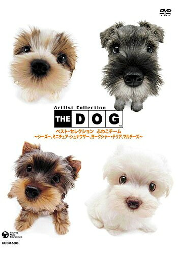 【中古】 THE DOG ベスト・セレクション ふわこチーム ～シーズ、ミニチュア・シュナウザー、ヨークシャ・テリア、マルチーズ～ [DVD]｜Haute Produit