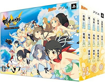 【中古】 閃乱カグラ ESTIVAL VERSUS -少女達の選択- にゅうにゅうDXパック PREMIUM 先着購入特典「少女達のマル秘ファイル ～ビジュアルブック・サントラセット～」付 - PS4