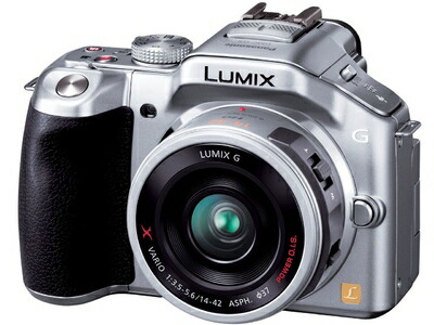 【中古】 パナソニック 鏡鑑受け答え一眼写真器 ルミックス G5 水晶体一揃いの道具 電動望遠レンズ属する ソリッドシルバー DMC-G5X-S TV・オーディオ・カメラ-ミラーレス一眼カメラ-カメラ・ビデオカメラ・光学機器