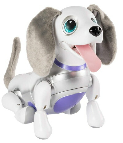 【中古】 日暈! ズーマー ミニチュアダックス 白いこと