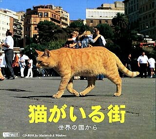 【中古】（新古品・未使用品） 猫がいる街 世界の国から