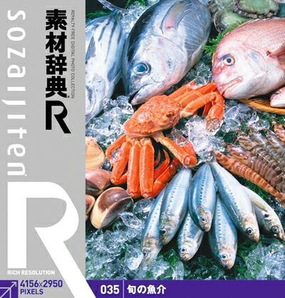 【中古】（新古品・未当て嵌める品） 原料品字引き[R(アール)] 035 旬の魚介