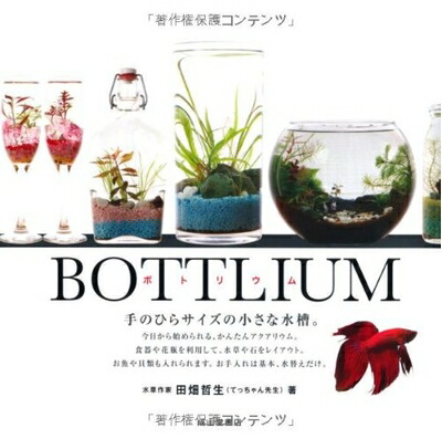 楽天市場】【送料無料】水槽 キューブガーデン ADA アクア