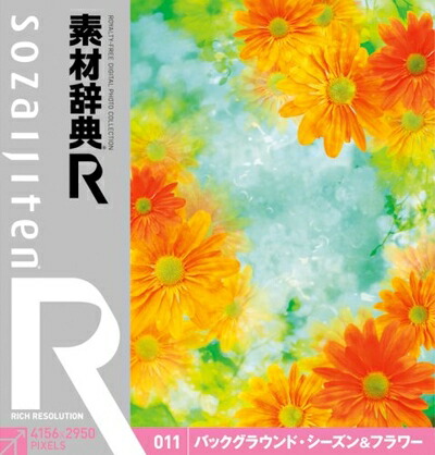 【中古】（新古品・未当て嵌める品） 原料品字引き[R(アール)] 011 生い立ち・時節\u0026御花