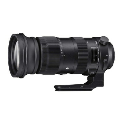 【中古】（新古品・未使用品） シグマ(Sigma) SIGMA シグマ Nikon Fマウント レンズ 60-600mm F4.5-6.3 DG OS HSM ズーム 望遠 フルサイズ Sports 一眼レフ 専用