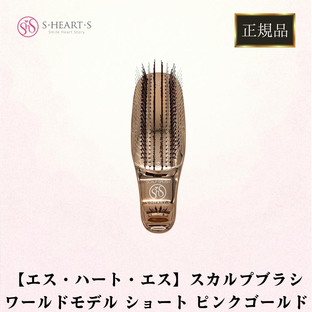 【美品】sisley ヘア　リチュアル　ザ　ブラシ ヘア リチュアル ザ ブラシ - Sisley Paris